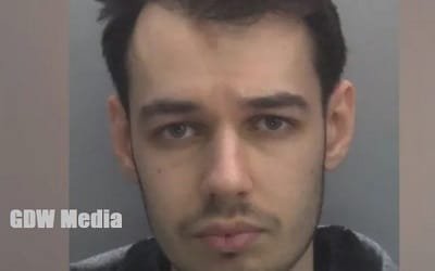 Tyler Webb Sentencing Case 2025